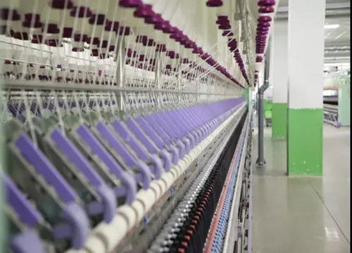 市委書記林彬楊深入我縣調研產業用紡織制成品制造發展情況